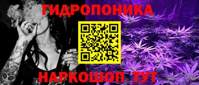 эйфоретик Кимры