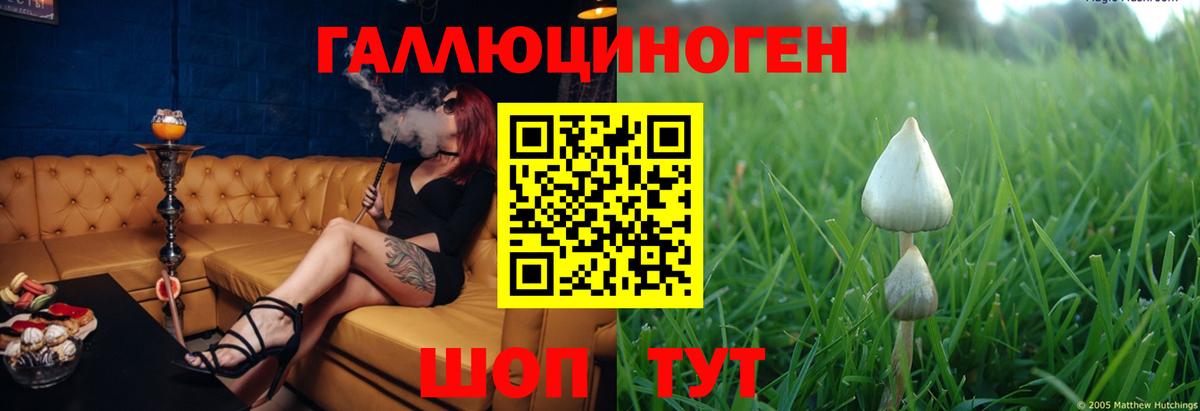 Псилоцибиновые грибы мицелий Чебаркуль
